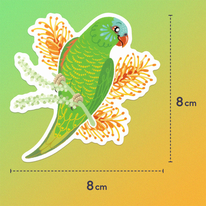 8x8cm colourful sticker of a scaly-breasted lorikeet with orange grevillea flowers on a green and yellow gradient background.