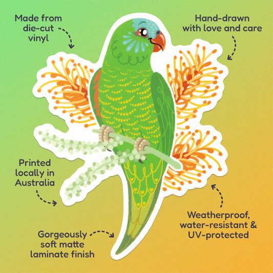 Features & benefits ('Hand-drawn with love and care', 'Made from die-cut vinyl', 'Gorgeously soft matte laminate finish', 'Weatherproof, water-resistant and UV-protected', 'Printed locally in Australia' surrounding a colourful sticker of a scaly-breasted lorikeet with orange grevillea flowers on a green and yellow gradient background.