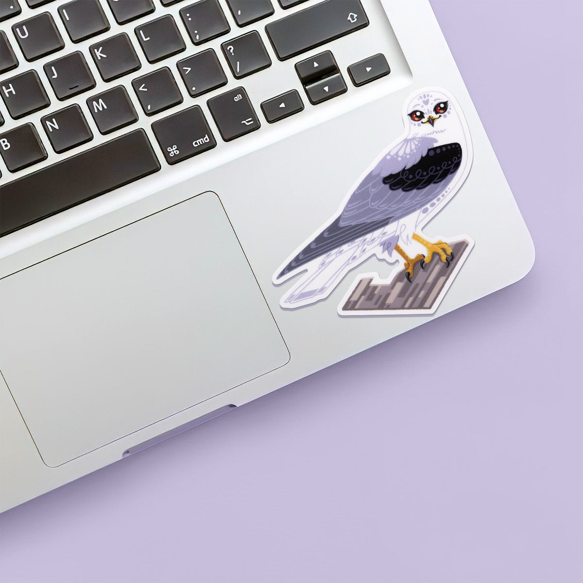 Colourful sticker of a black-shouldered kite perched on a branch stuck below the keyboard of a Macbook laptop on a lilac background.