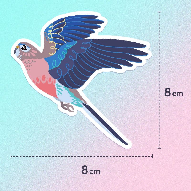 8x8cm colourful sticker of a Bourke's Parrot in flight on a blue and pink gradient background.