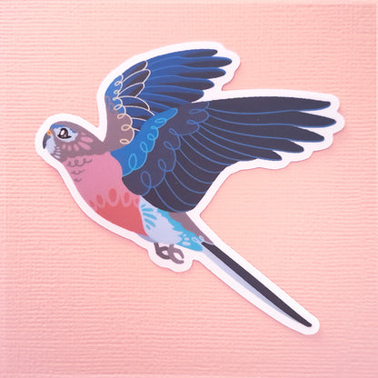 Real photo of a colourful sticker of a Bourke's Parrot in flight on a pink canvas textured background.