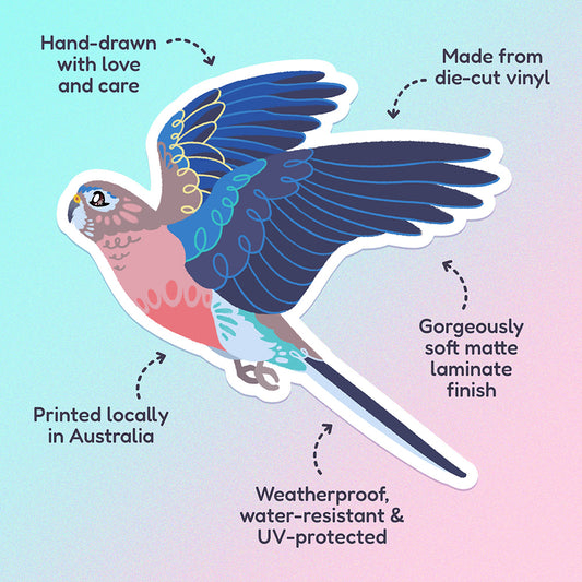 Features & benefits ('Hand-drawn with love and care', 'Made from die-cut vinyl', 'Gorgeously soft matte laminate finish', 'Weatherproof, water-resistant and UV-protected', 'Printed locally in Australia' surrounding a colourful sticker of a Bourke's Parrot in flight on a blue and pink gradient background.