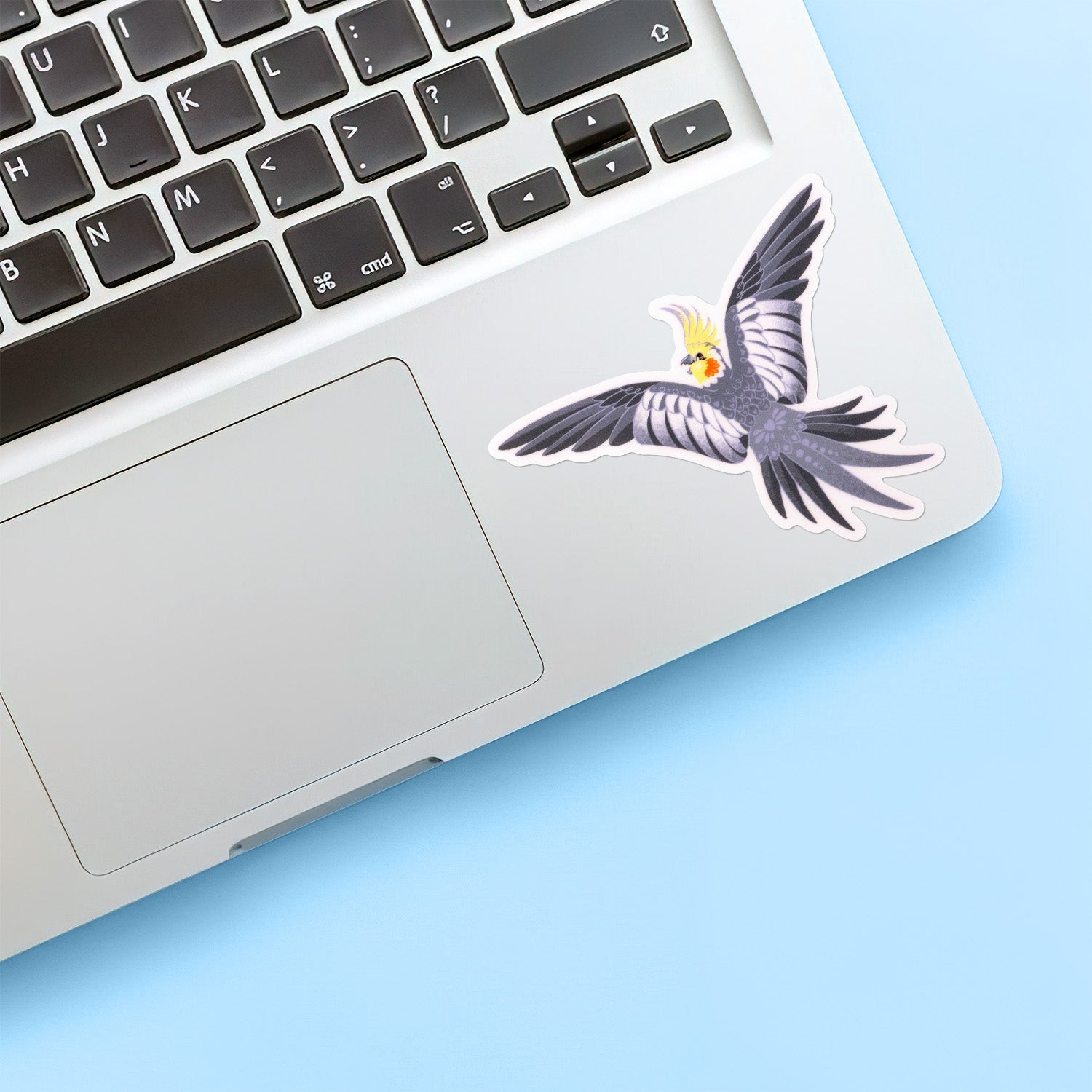 Colourful sticker of a male wild-type cockatiel spreading his wings wide stuck below the keyboard of a Macbook laptop on blue background.