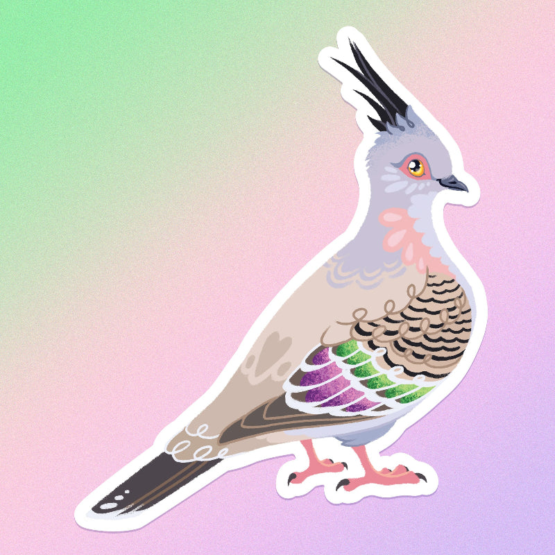 Colourful sticker of a crested pigeon on a green, pink and purple gradient background.