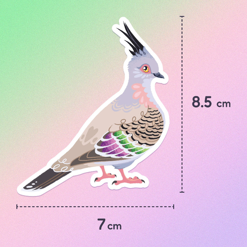 7 x 8.5cm colourful sticker of a crested pigeon on a green, pink and purple gradient background.