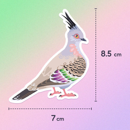 7 x 8.5cm colourful sticker of a crested pigeon on a green, pink and purple gradient background.
