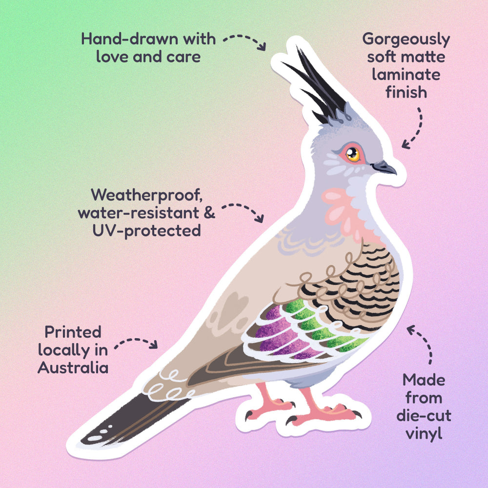 Features & benefits ('Hand-drawn with love and care', 'Made from die-cut vinyl', 'Gorgeously soft matte laminate finish', 'Weatherproof, water-resistant and UV-protected', 'Printed locally in Australia' surrounding a colourful sticker of a crested pigeon on a green, pink and purple gradient background.
