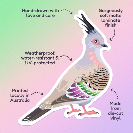 Features & benefits ('Hand-drawn with love and care', 'Made from die-cut vinyl', 'Gorgeously soft matte laminate finish', 'Weatherproof, water-resistant and UV-protected', 'Printed locally in Australia' surrounding a colourful sticker of a crested pigeon on a green, pink and purple gradient background.