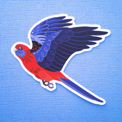 Real photo of a colourful sticker of a Crimson Rosella in flight on a blue canvas textured background.