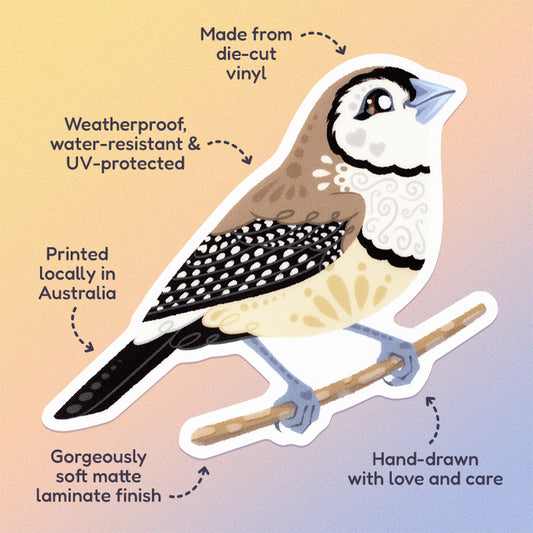 Features & benefits ('Hand-drawn with love and care', 'Made from die-cut vinyl', 'Gorgeously soft matte laminate finish', 'Weatherproof, water-resistant and UV-protected', 'Printed locally in Australia' surrounding a colourful die-cut sticker of a double-barred owl finch on a soft beige, pink and pastel blue gradient background.