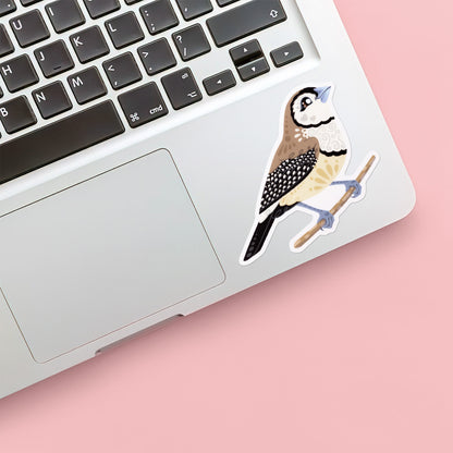 Colourful die-cut sticker of a double-barred owl finch stuck below the keyboard of a Macbook laptop on a yellow background.
