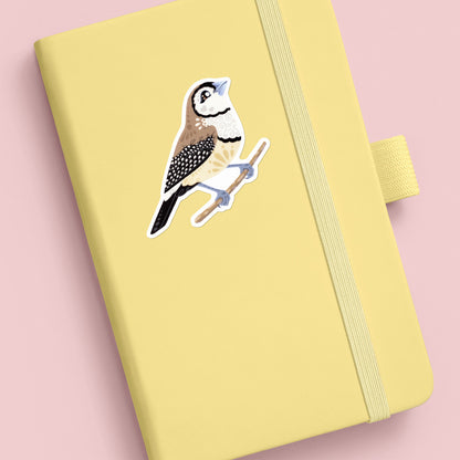 Colourful die-cut sticker of a double-barred owl finch stuck to a pale yellow journal on an soft peach background.
