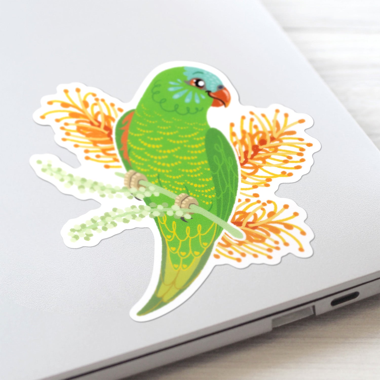 Closeup of a c colourful sticker of a scaly-breasted lorikeet with orange grevillea flowers stuck to a lid of a Macbook laptop on a textured white wood background.