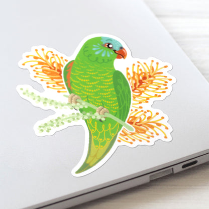 Closeup of a c colourful sticker of a scaly-breasted lorikeet with orange grevillea flowers stuck to a lid of a Macbook laptop on a textured white wood background.
