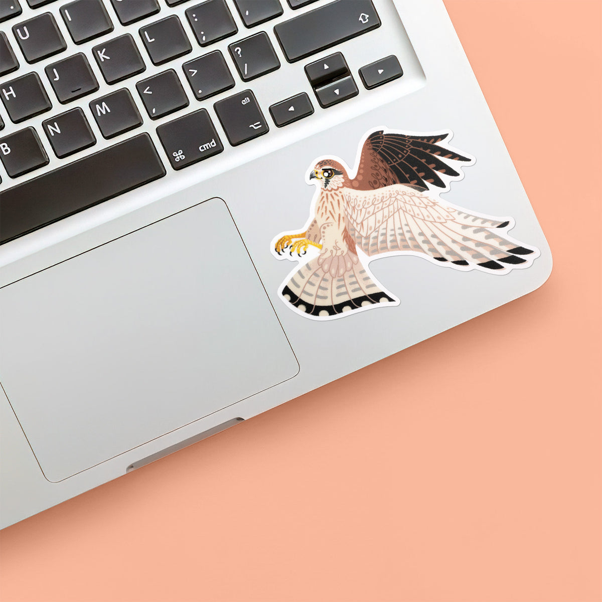 Colourful sticker of a hovering female nankeen kestrel stuck below the keyboard of a Macbook laptop on an orange background.