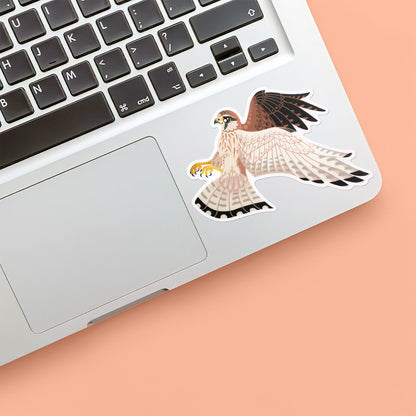 Colourful sticker of a hovering female nankeen kestrel stuck below the keyboard of a Macbook laptop on an orange background.