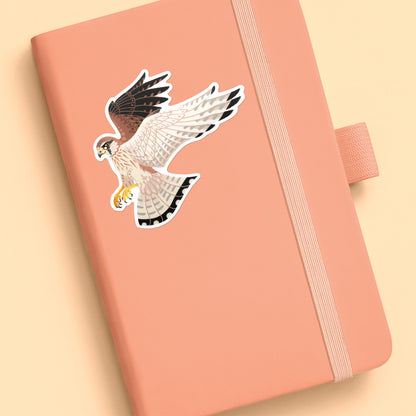 Colourful sticker of a hovering female nankeen kestrel stuck to a pale orange journal on an soft yellow background.