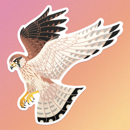 Colourful sticker of a hovering female nankeen kestrel on a pink, orange and yellow gradient background.