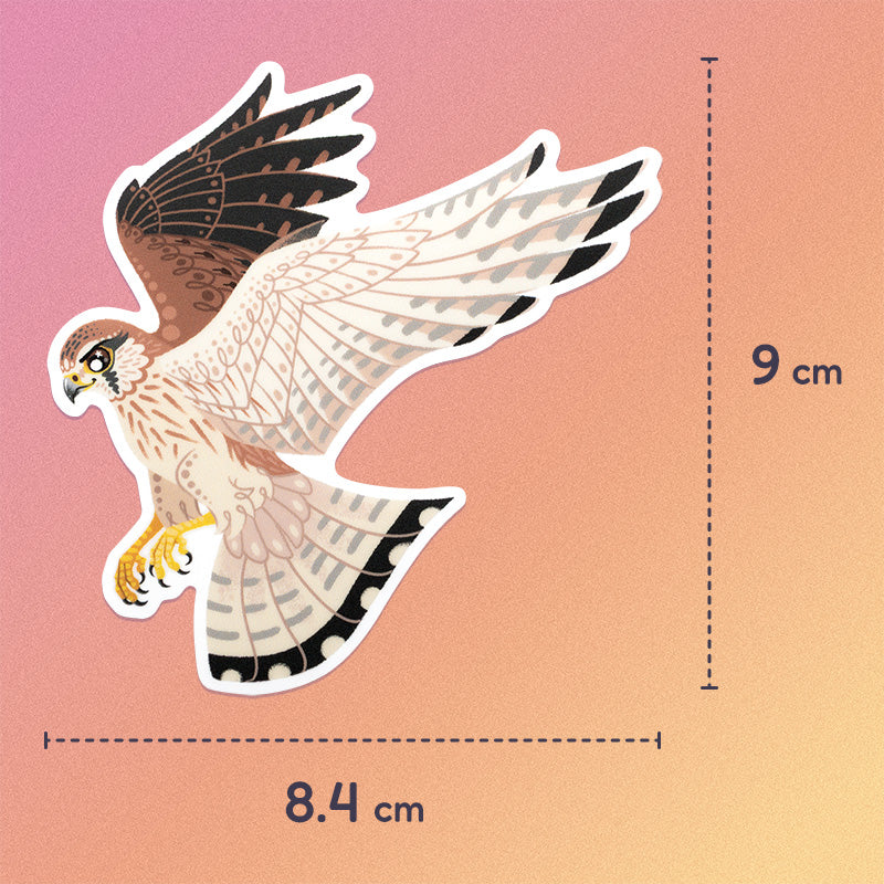 8.4x9cm colourful sticker of a hovering female nankeen kestrel on a pink, orange and yellow gradient background.