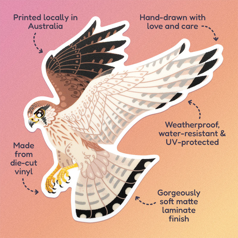 Features & benefits ('Hand-drawn with love and care', 'Made from die-cut vinyl', 'Gorgeously soft matte laminate finish', 'Weatherproof, water-resistant and UV-protected', 'Printed locally in Australia') surrounding a colourful sticker of a hovering female nankeen kestrel on a pink, orange and yellow gradient background.