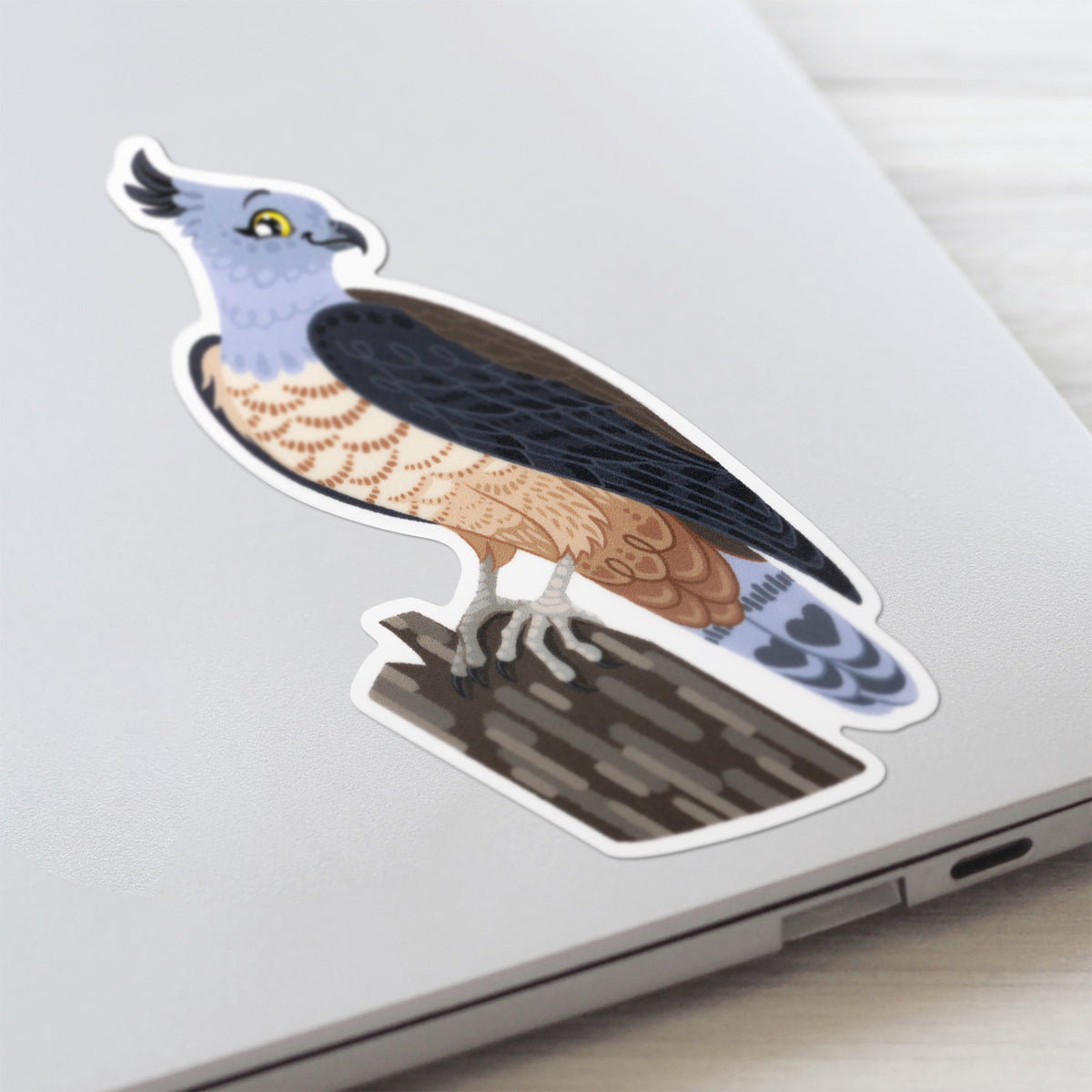 Closeup of a colourful sticker of a pacific baza perched on a tree branch  stuck to a lid of a Macbook laptop on a textured white wood background.