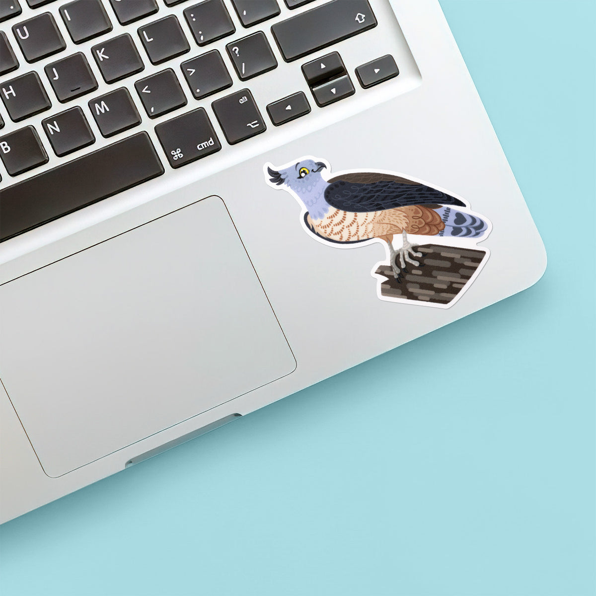 Colourful sticker of a pacific baza perched on a tree branch stuck below the keyboard of a Macbook laptop on a teal background.