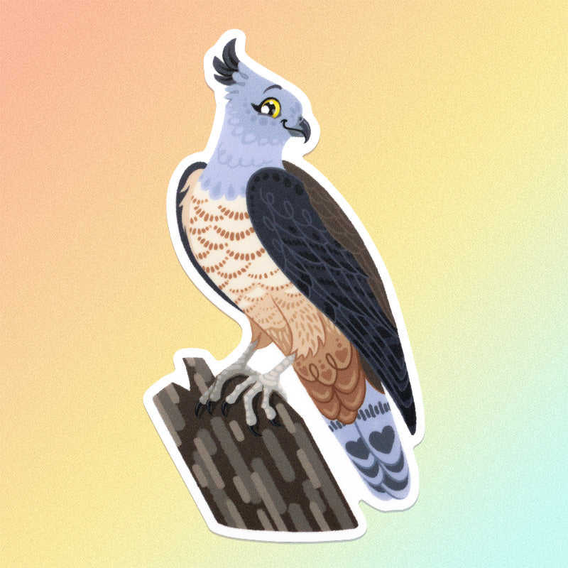 Colourful sticker of a pacific baza perched on a tree branch on an orange, yellow and aqua gradient background.