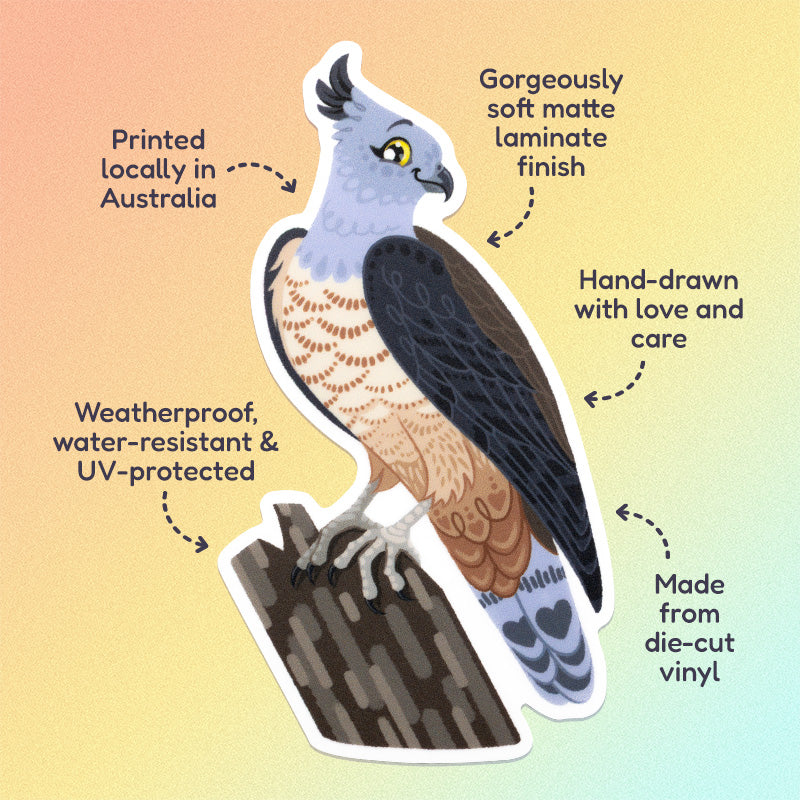 Features & benefits ('Hand-drawn with love and care', 'Made from die-cut vinyl', 'Gorgeously soft matte laminate finish', 'Weatherproof, water-resistant and UV-protected', 'Printed locally in Australia') surrounding a colourful sticker of a pacific baza perched on a tree branch on an orange, yellow and aqua gradient background.