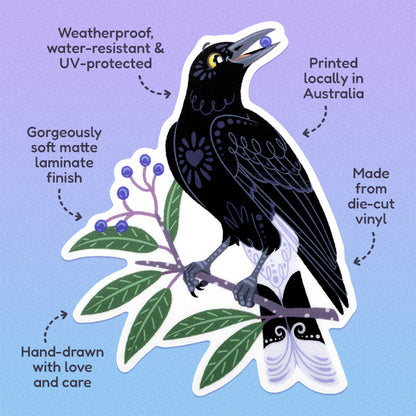 Features & benefits ('Hand-drawn with love and care', 'Made from die-cut vinyl', 'Gorgeously soft matte laminate finish', 'Weatherproof, water-resistant and UV-protected', 'Printed locally in Australia') surrounding a colourful diecut sticker of a pied currawong eating a blueberry ash berry on a purple to blue gradient background.