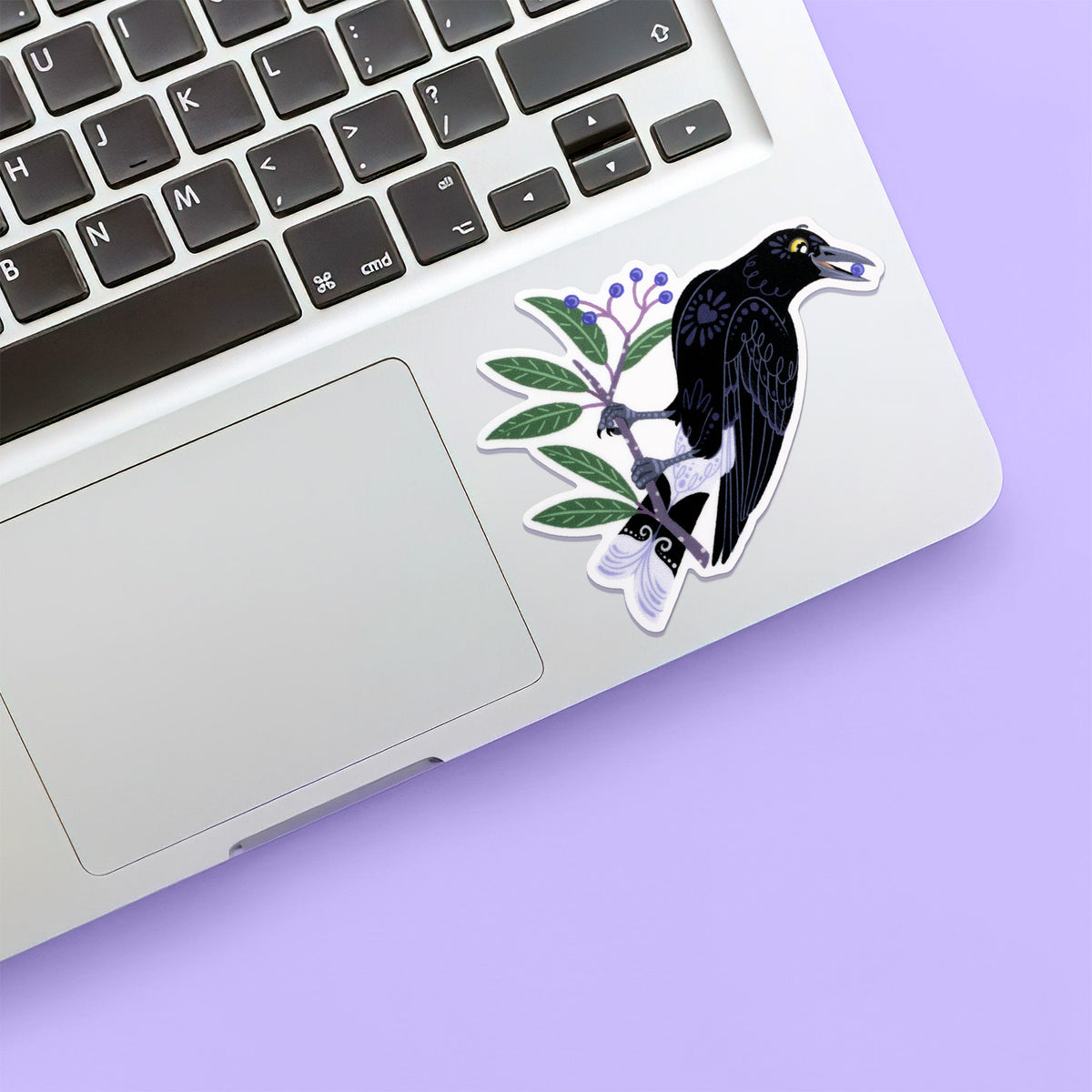 Colourful diecut sticker of a pied currawong eating a blueberry ash berry stuck below the keyboard of a Macbook laptop on a purple background.