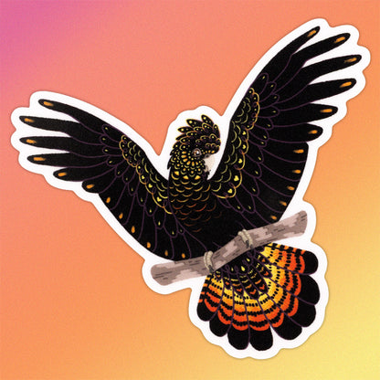 Colourful sticker of a female red-tailed black cockatoo perched on a branch with her wings out on a pink, orange and yellow gradient background.