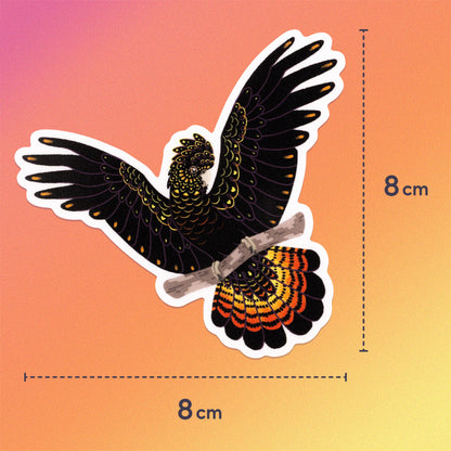 8x8cm colourful sticker of a female red-tailed black cockatoo perched on a branch with her wings out on a pink, orange and yellow gradient background.