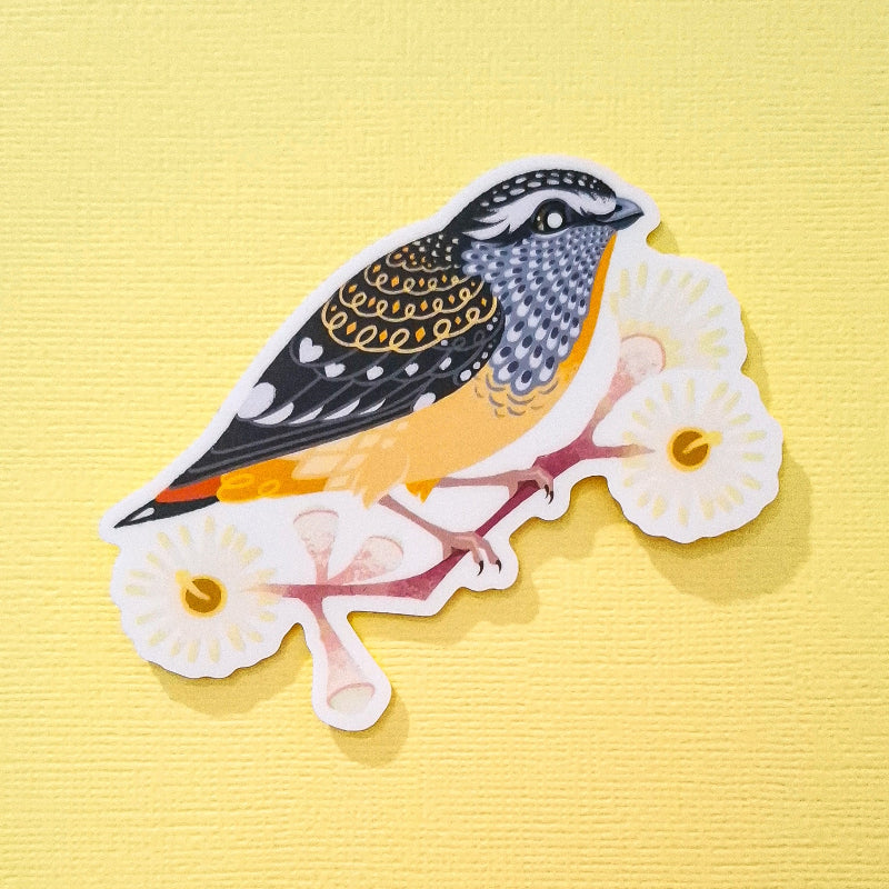 Real photo of a colourful sticker of a spotted pardalote on a pink gum branch with pale yellow flowers on a yellow canvas textured background.