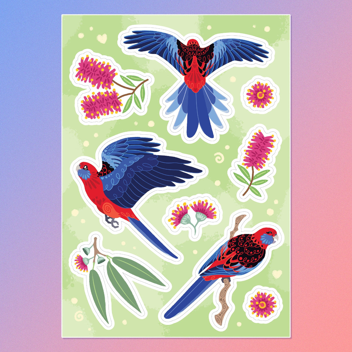 Colourful A5 sticker sheet of 3 different Crimson Rosellas, eucalyptus leaves, eucalyptus flowers and pink bottlebrush flowers on a blue and pink gradient background.