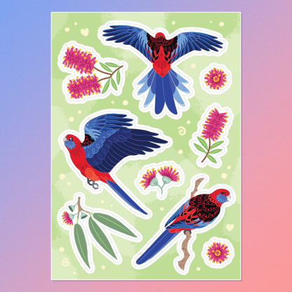 Colourful A5 sticker sheet of 3 different Crimson Rosellas, eucalyptus leaves, eucalyptus flowers and pink bottlebrush flowers on a blue and pink gradient background.