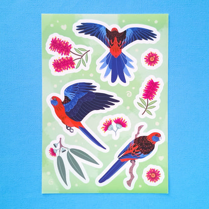 Real photo of a colourful A5 sticker sheet of 3 different Crimson Rosellas, eucalyptus leaves, eucalyptus flowers and pink bottlebrush flowers on a blue canvas texture background.