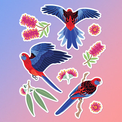 9 colourful stickers including 3 different Crimson Rosellas, eucalyptus leaves, eucalyptus flowers and pink bottlebrush flowers on a blue and pink gradient background.