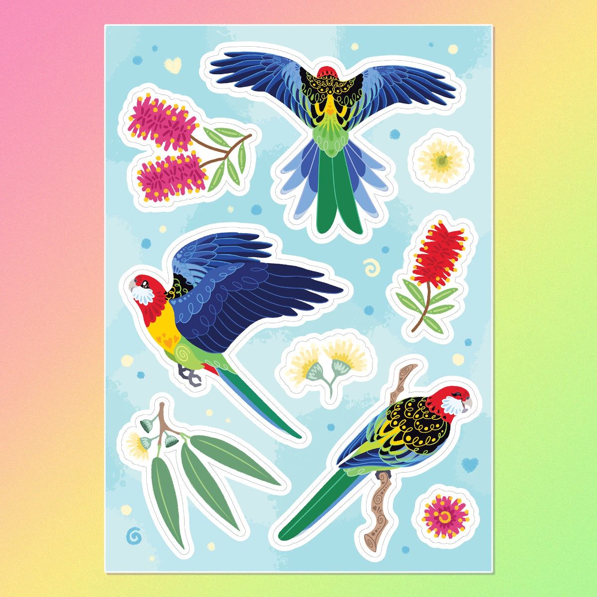 Colourful A5 sticker sheet of 3 different Eastern Rosellas, eucalyptus leaves, eucalyptus flowers and red & pink bottlebrush flowers on a pink, orange, yellow and green gradient background.