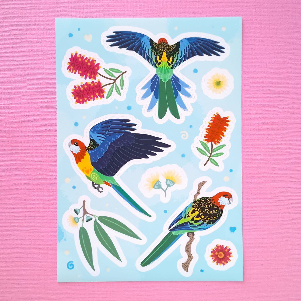 Real photo of a aolourful A5 sticker sheet of 3 different Eastern Rosellas, eucalyptus leaves, eucalyptus flowers and red & pink bottlebrush flowers on a pink canvas texture background.