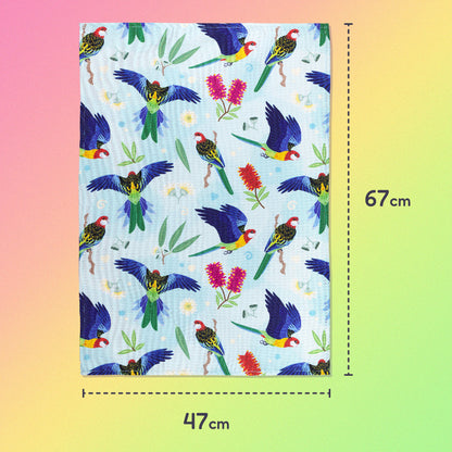 47x67cm tea towel with a rainbow eastern rosellas pattern sitting flat on a pastel pink, yellow and green background.