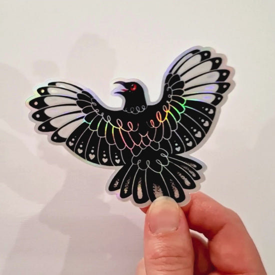 Short video of a hand moving a  colourful holographic metallic die-cut sticker of a white-winged chough with spread wings on a white background.